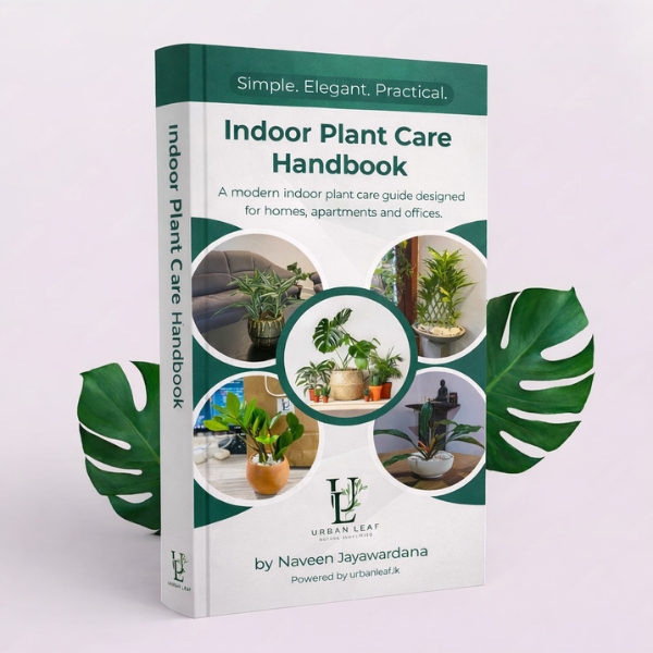 Care guide preview